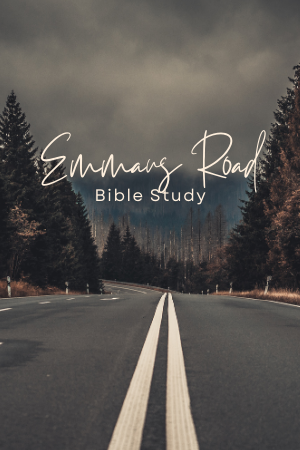 Estudio bíblico «Emmaus Road» | Plano | Aline de Farias Ordonho y Jocelyn Sumner