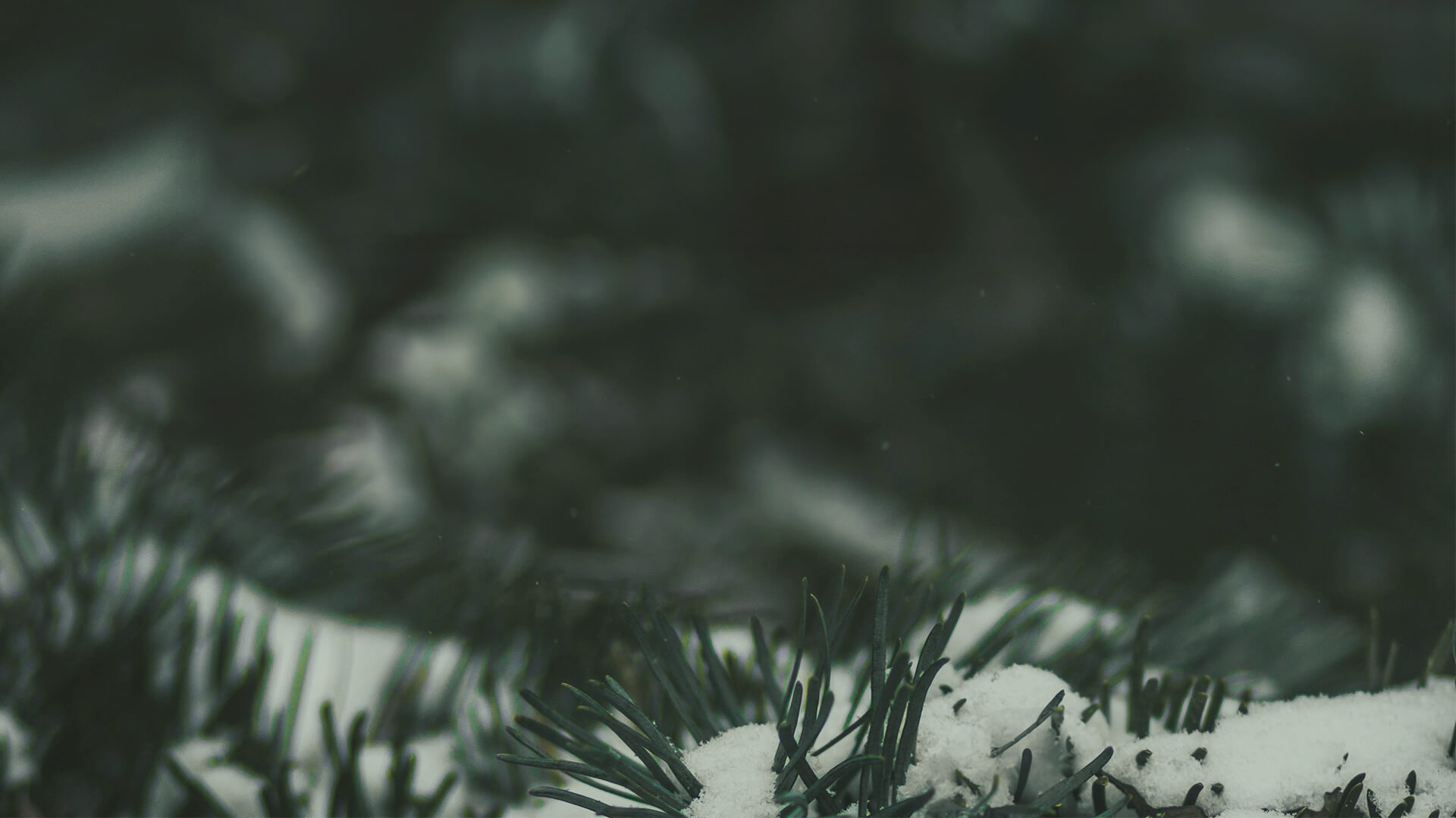Navidad en Gateway