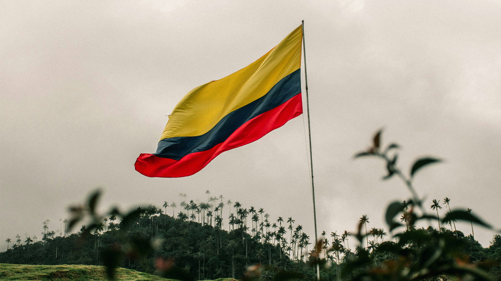 Acciones de ayuda tras el terremoto de Colombia